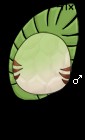Rex